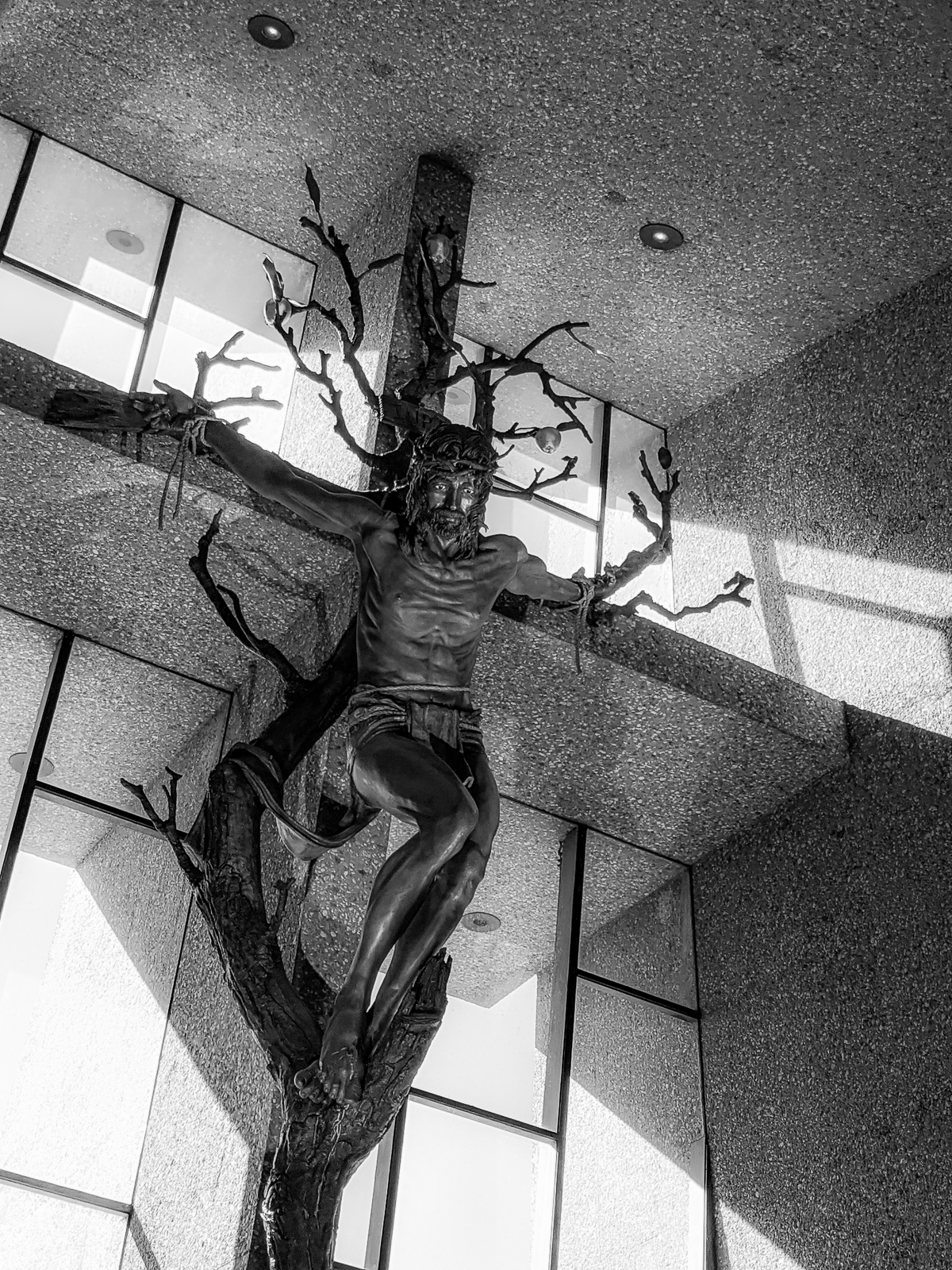 PXL 20201124 191342357.PORTRAIT