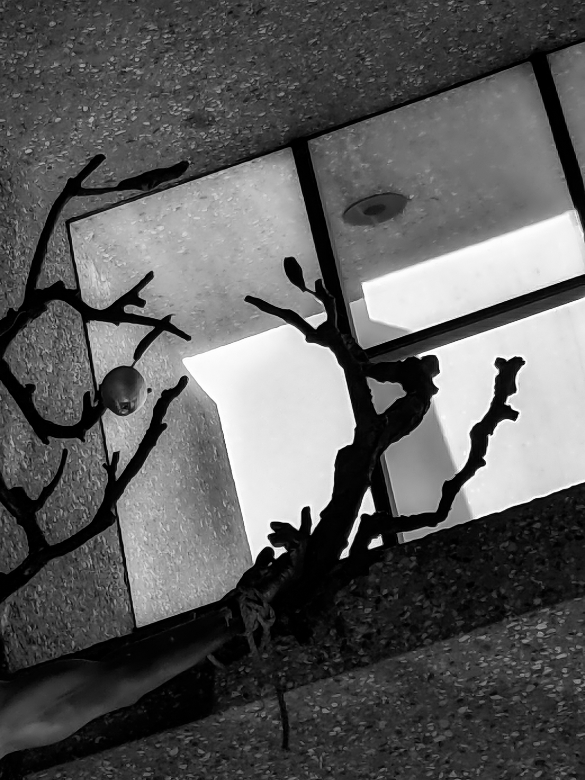 PXL 20201124 191646030