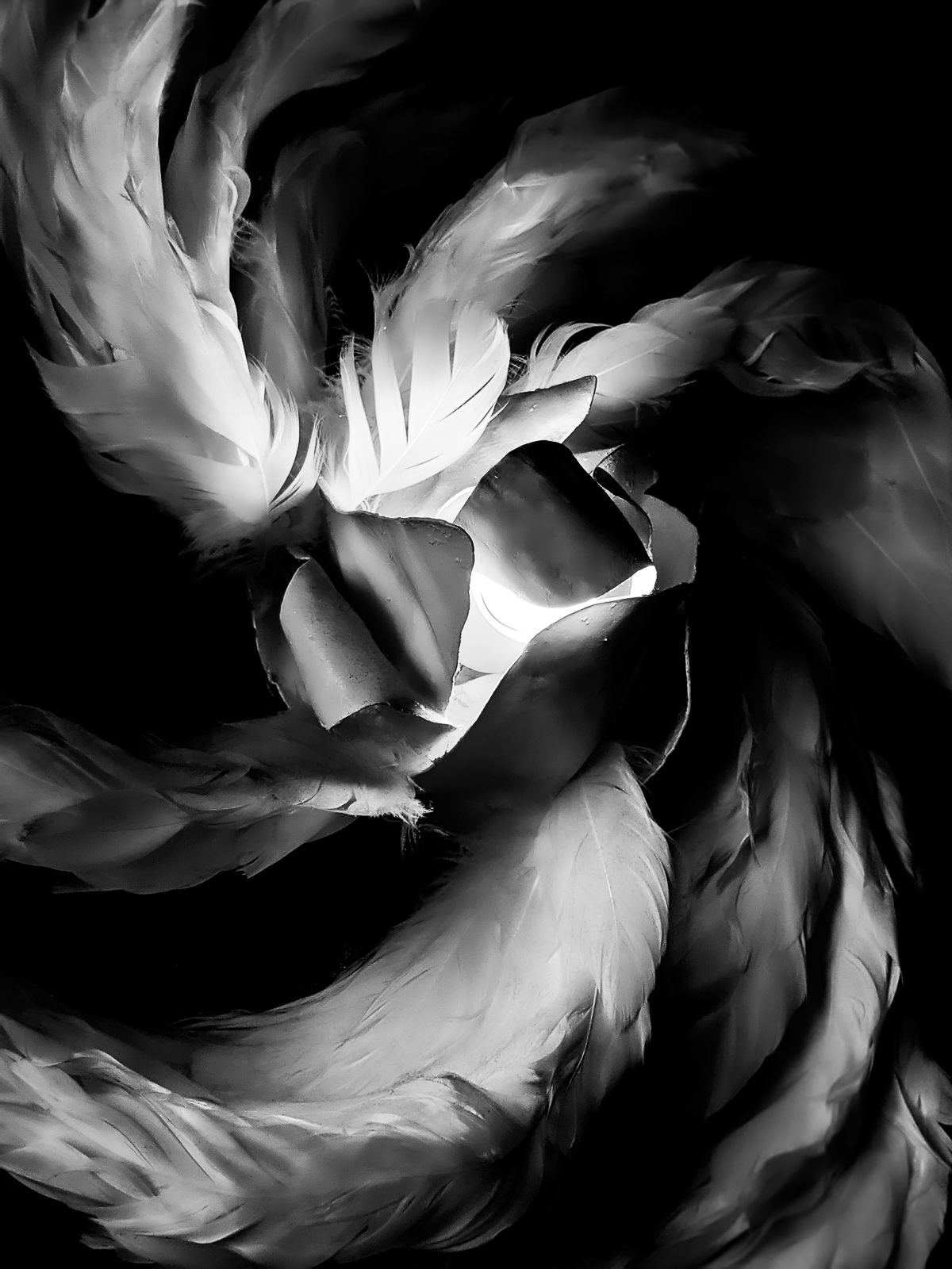 PXL 20201124 203118346.PORTRAIT