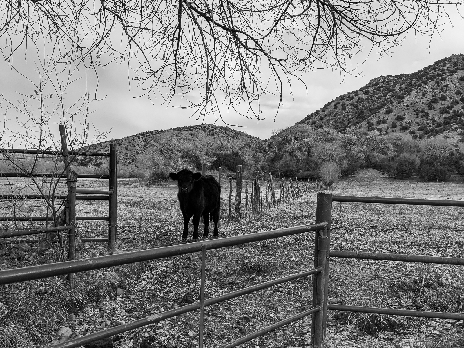 PXL 20201127 164913165