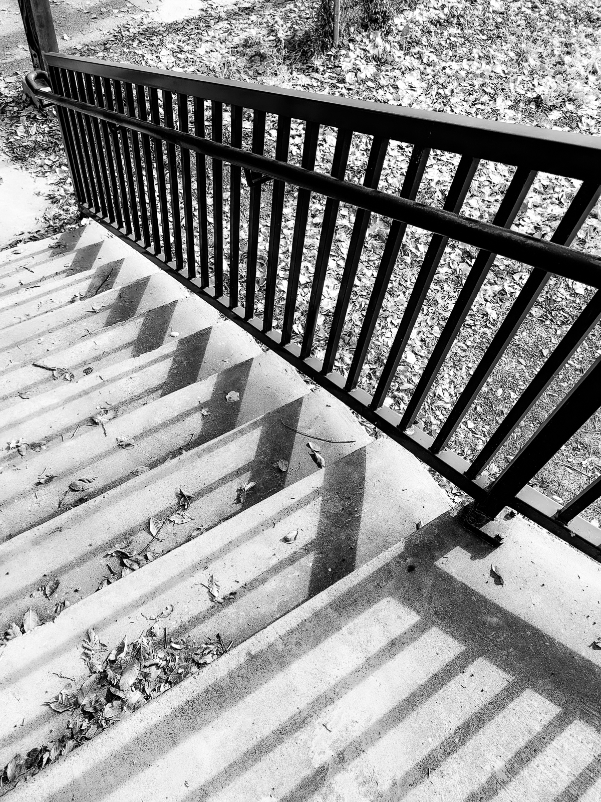 PXL 20201127 165839002