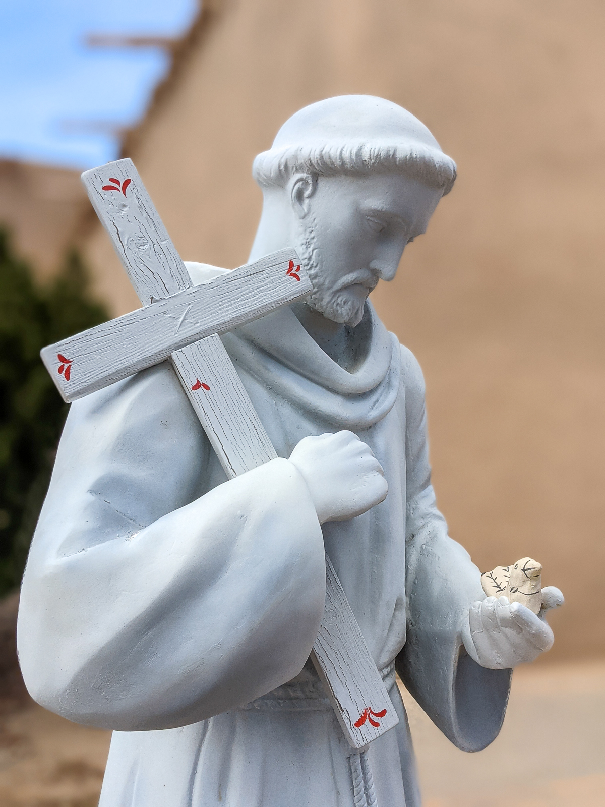 PXL 20201127 215649608.PORTRAIT