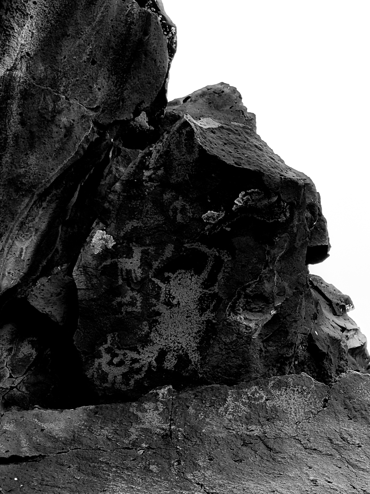 PXL 20201127 234415539