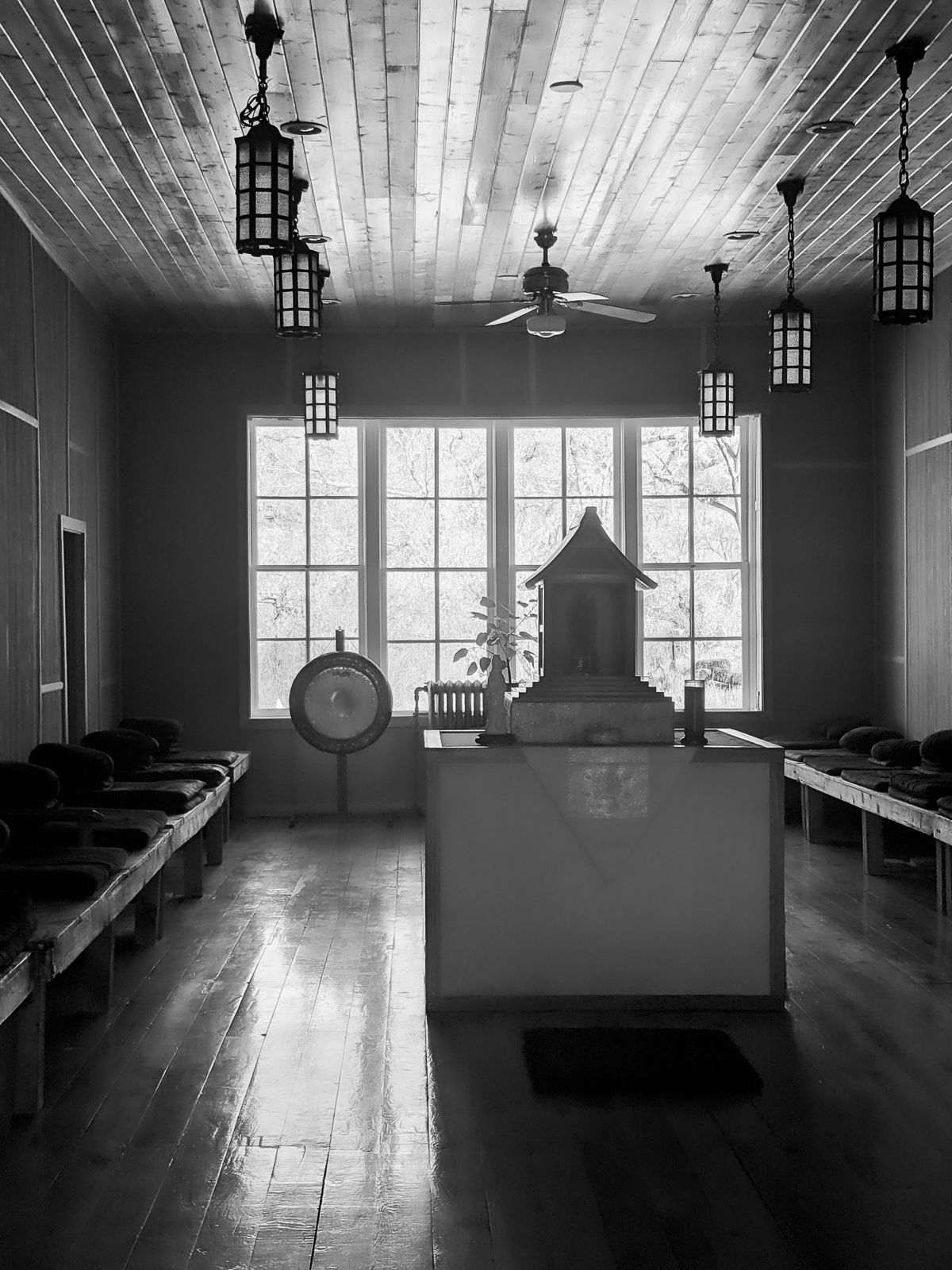 PXL 20201128 180426930