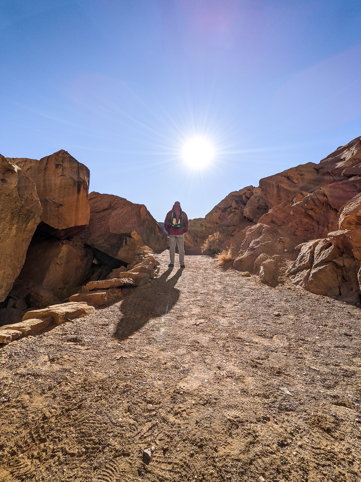 PXL 20201128 214809679