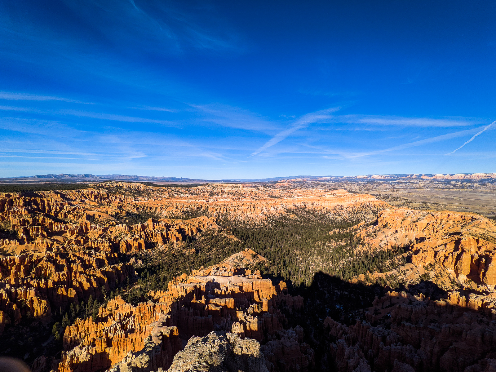 PXL 20201129 215554891