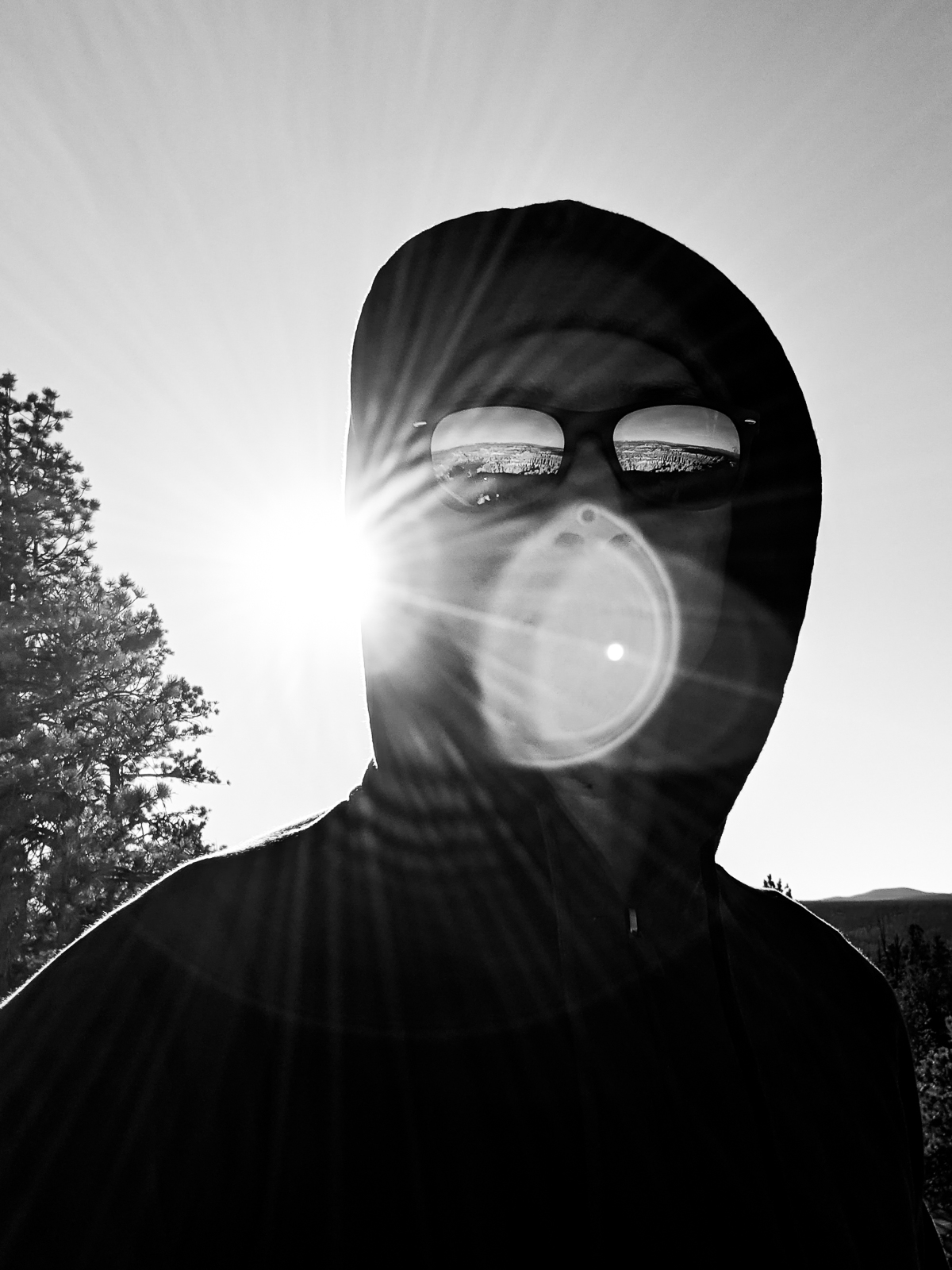 PXL 20201129 222834659