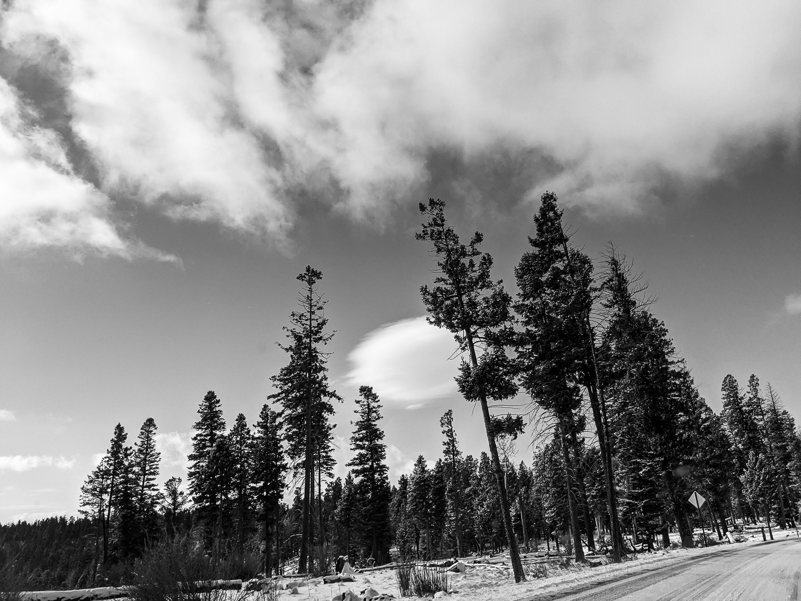 PXL 20201128 165653823