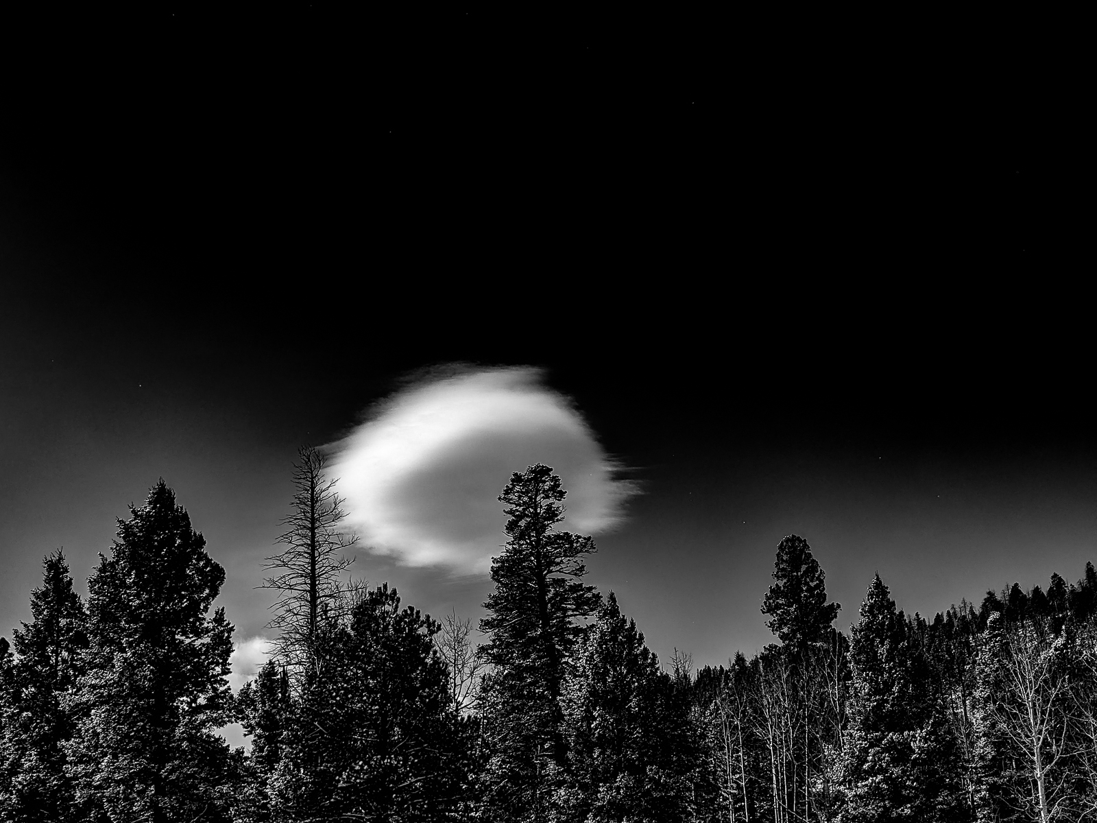 PXL 20201128 165826602