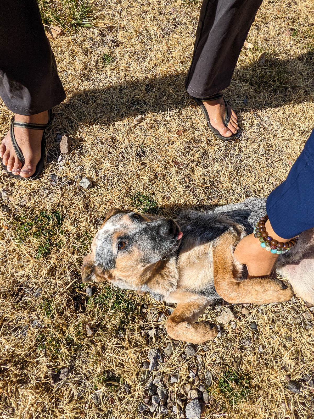 PXL 20201128 180054408