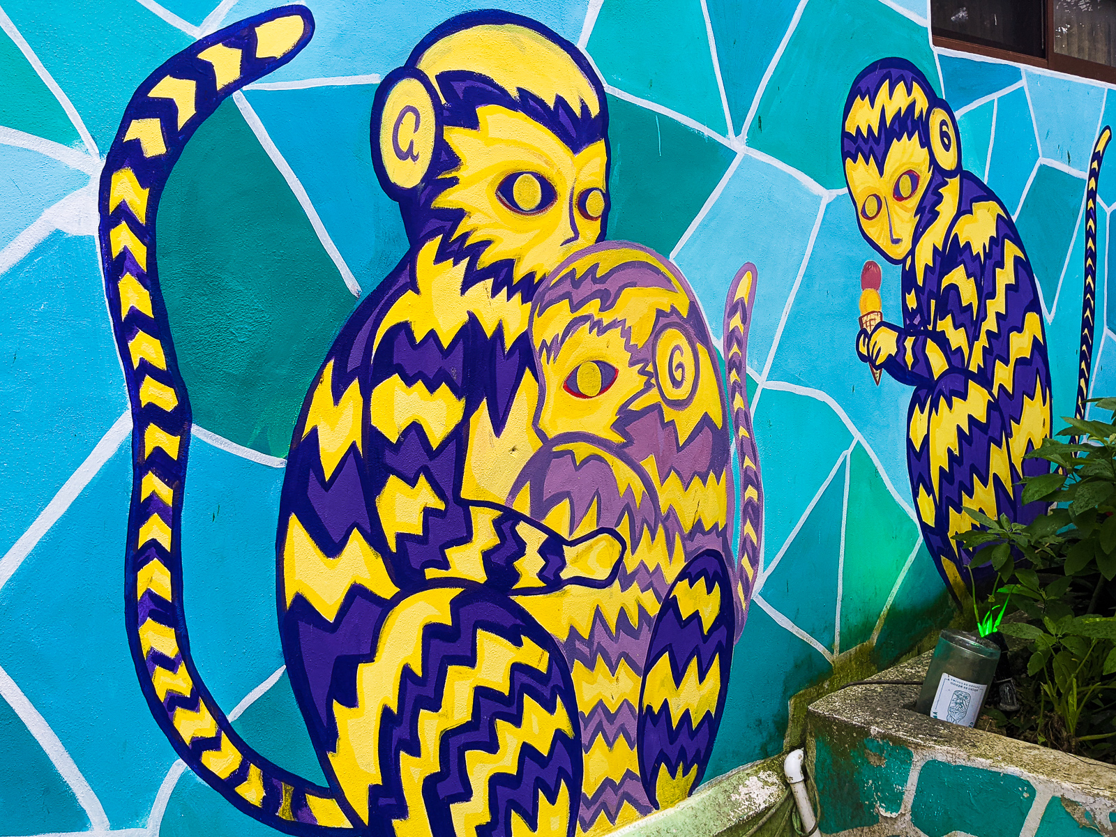 PXL 20201227 212340358